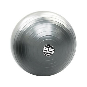 STEADY BALL PRO 55 CM