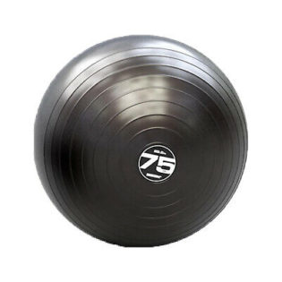 STEADY BALL PRO 75 CM